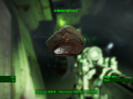 Fallout4 2015-12-01 20-21-36-54.png